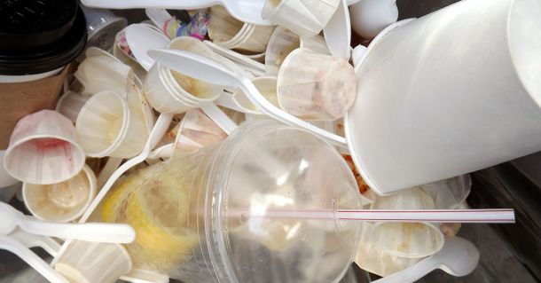 Image by Dennis from Pixabay