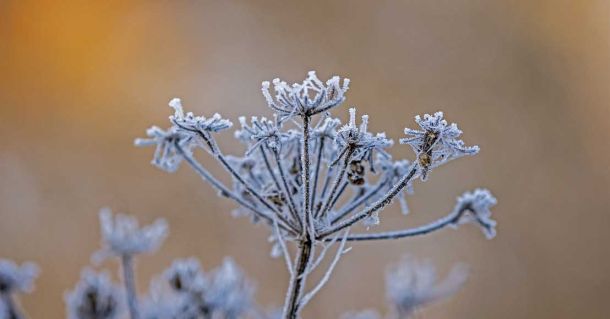 Image by Don from Pixabay