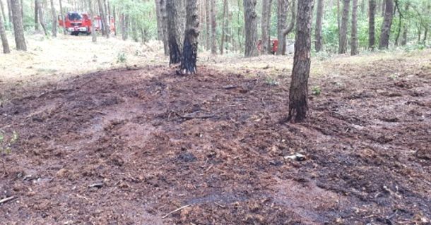 Kolejne pozary w lasach fot kp psp oborniki