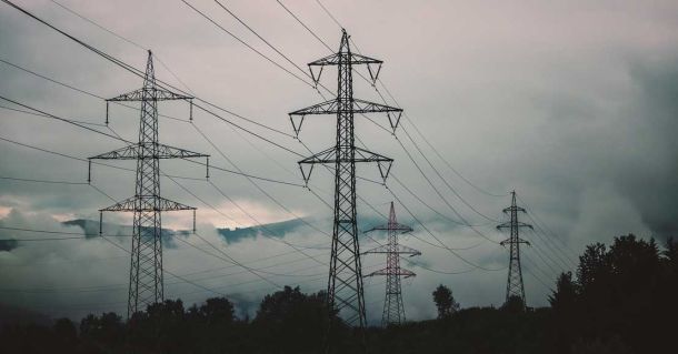 Obraz Nicky ❤️🌿🐞🌿❤️ z Pixabay