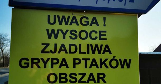 foto: mojewronki.pl