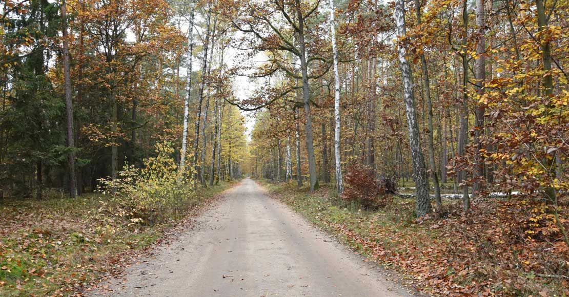 foto: UM Rogoźno